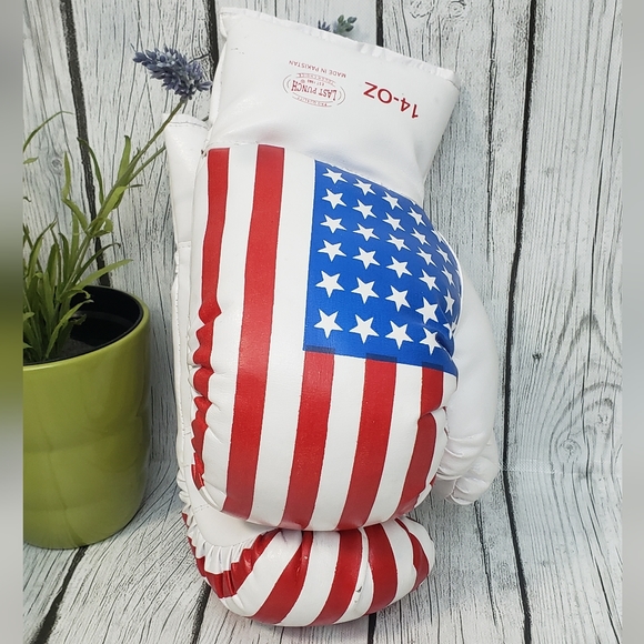 Pair Last Punch USA Flag 14oz Boxing Punching Gloves - Picture 1 of 8